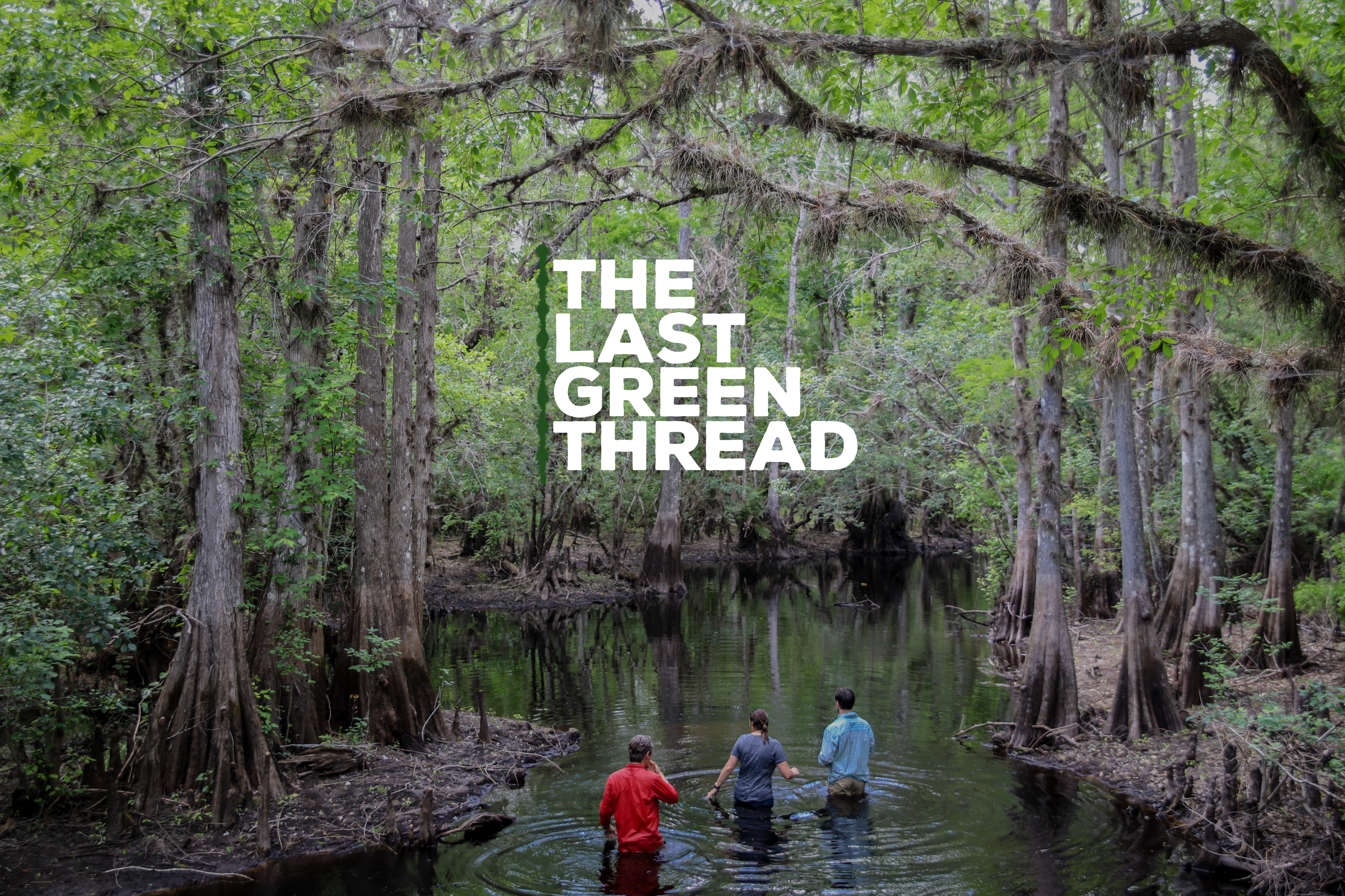 The Last Green Thread